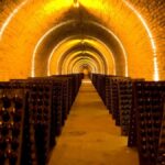 Maison Krug | Where patience and mastery craft exceptional Champagne
