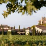 Daniel Cathiard, owner of Château Smith Haut Lafitte, has passed away