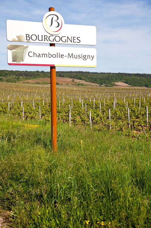Chambolle-Musigny