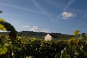 Read more about the article Louis Roederer has Burgundy in its sights