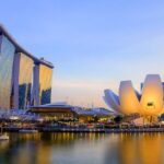 The Essential Guide to iDealwine: Delivering Fine Wine from France to Singapore