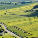 Burgundy | The finest terroirs of the Côte d’Or