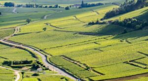 Read more about the article Burgundy | The finest terroirs of the Côte d’Or