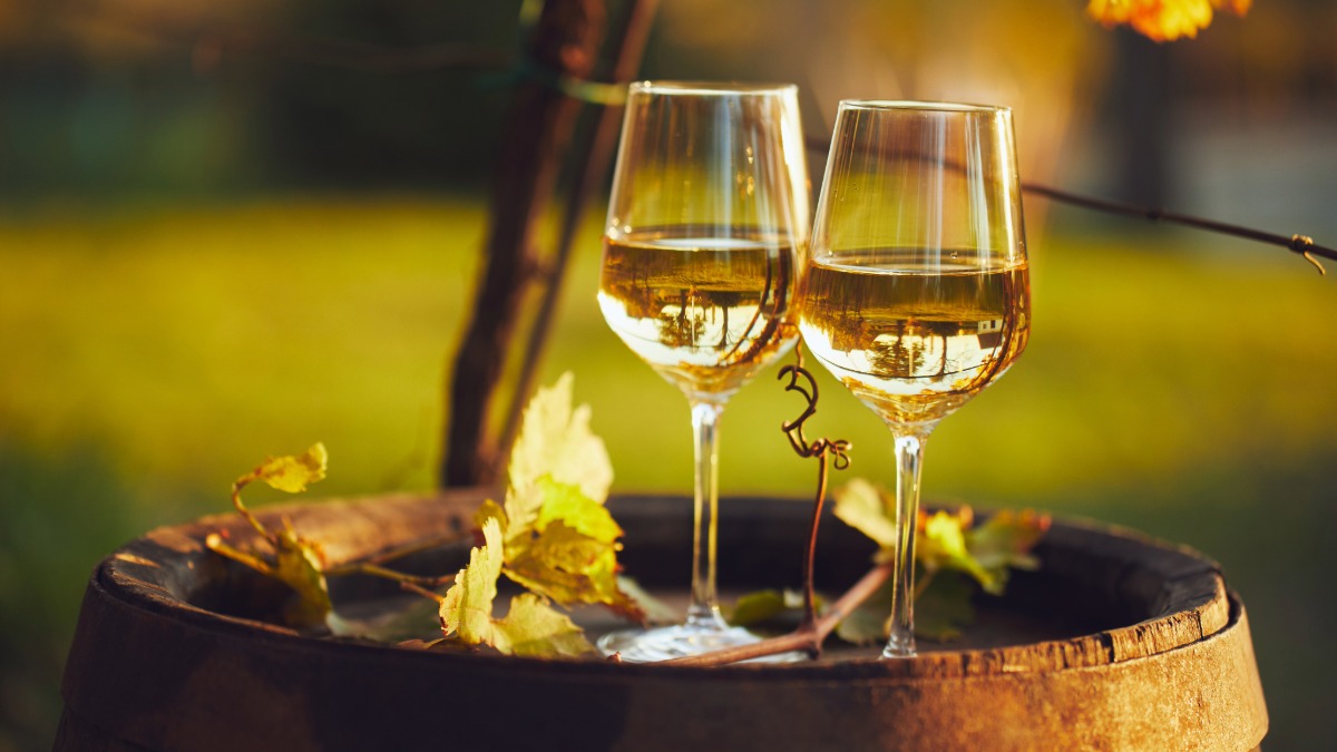 Read more about the article The three stages of evolution for white wines