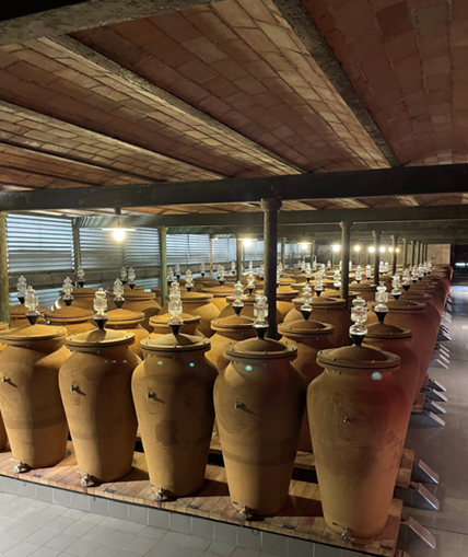 Bordeaux amphora in a cellar