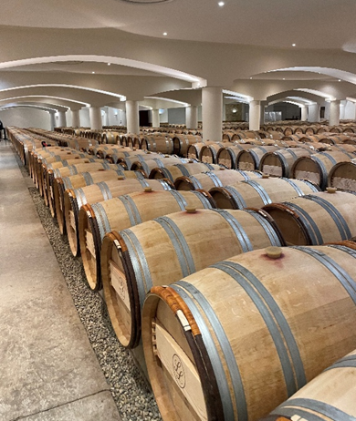 Bordeaux barrels in a cellar