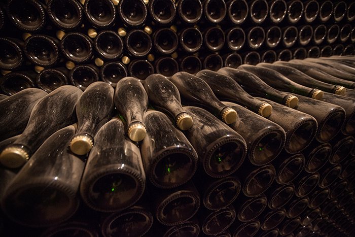 Champagne bottles maturing in a cellar
