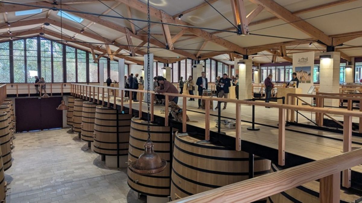 Read more about the article 2025 En Primeurs | Vintage analysis and top picks from Médoc