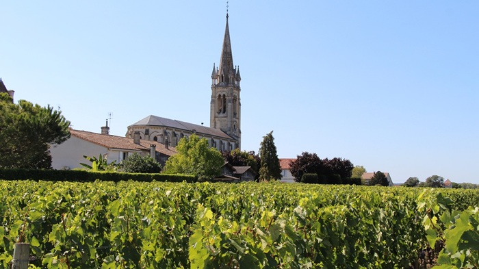 Read more about the article 2025 En Primeurs | Right Bank: Saint-Émilion and Pomerol