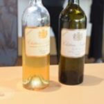 2025 En Primeurs | Vintage analysis and top picks from Sauternes