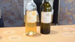 Read more about the article 2025 En Primeurs | Vintage analysis and top picks from Sauternes