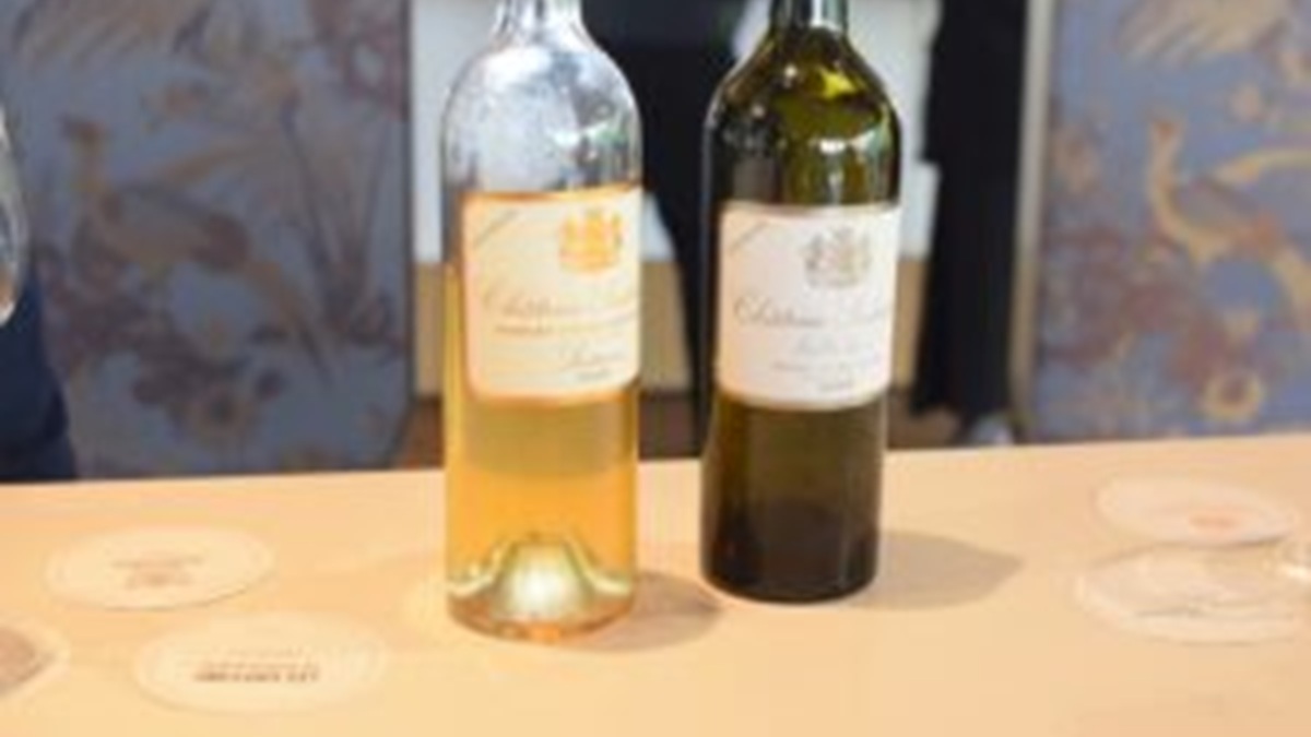 Read more about the article 2025 En Primeurs | Vintage analysis and top picks from Sauternes