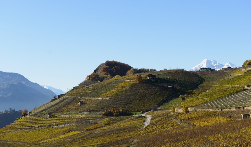 The Rhone valley