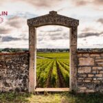 The Michelin Guide Grape Selection: a first selection of Burgundian estates