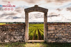 Read more about the article The Michelin Guide Grape Selection: a first selection of Burgundian estates