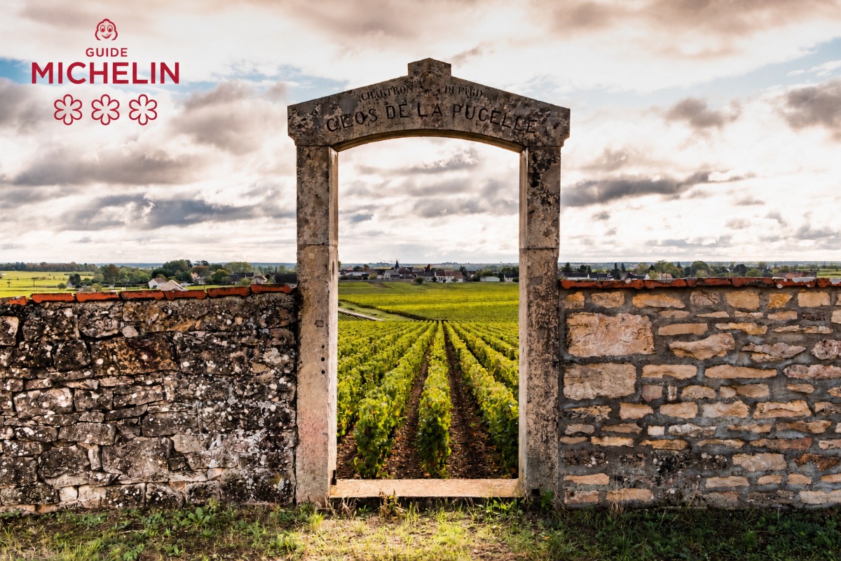 Read more about the article The Michelin Guide Grape Selection: a first selection of Burgundian estates