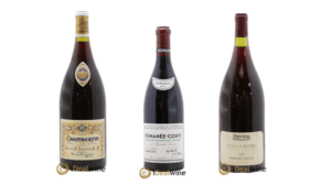 Read more about the article June 2026 Auction Report: three grand crus auctioned for over €20,000
