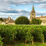 2025 En Primeurs | The best wines for cellaring