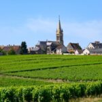 Sancerre fan? Have you tried Menetou-Salon?