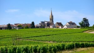 Read more about the article Sancerre fan? Have you tried Menetou-Salon?