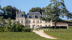 Read more about the article 2025 Bordeaux En Primeurs: 25 best value wines without compromise