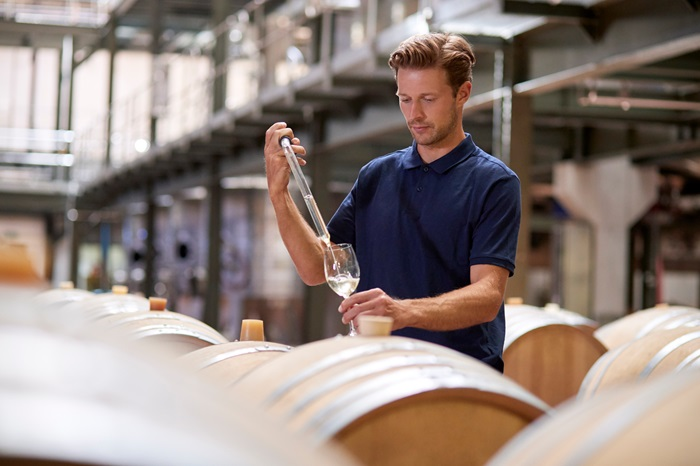 checking clarity of wine before fining and filtering